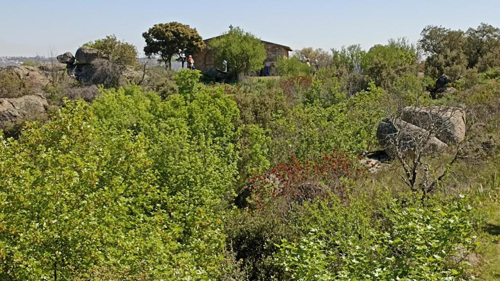 Teso de San Cristóbal en Villarino de los Aires