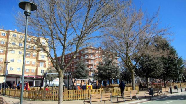Salamanca muestra la importancia de los árboles y arbustos para la salud en un vídeo formativo