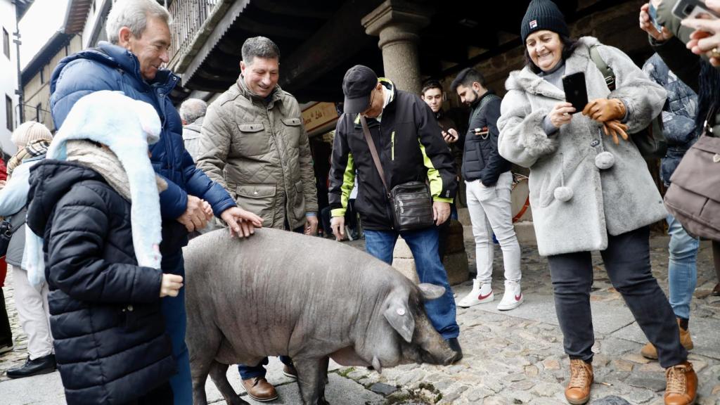 El día en el que se celebra la rifa del marrano de San Antón