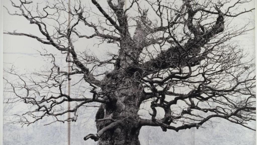 'Majesty'. © Tate, Londres, 2018