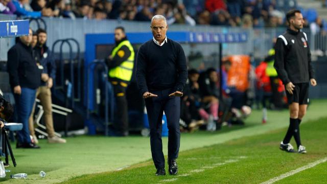 Sergio Pellicer, entrenador del Málaga CF, durante un partido en La Rosaleda