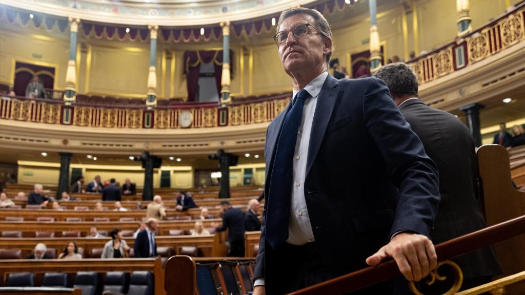 El líder nacional del PP, Alberto Núñez Feijóo, en el Congreso de los Diputados.