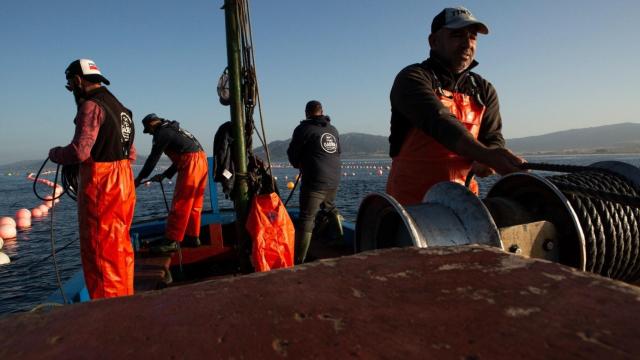 Pescadores abordo de un barco pesquero.