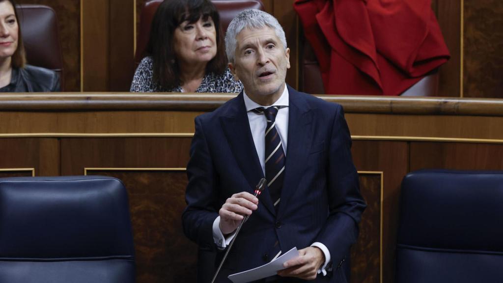 El ministro de Interior, Fernando Grande-Marlaska, en la sesión de control.