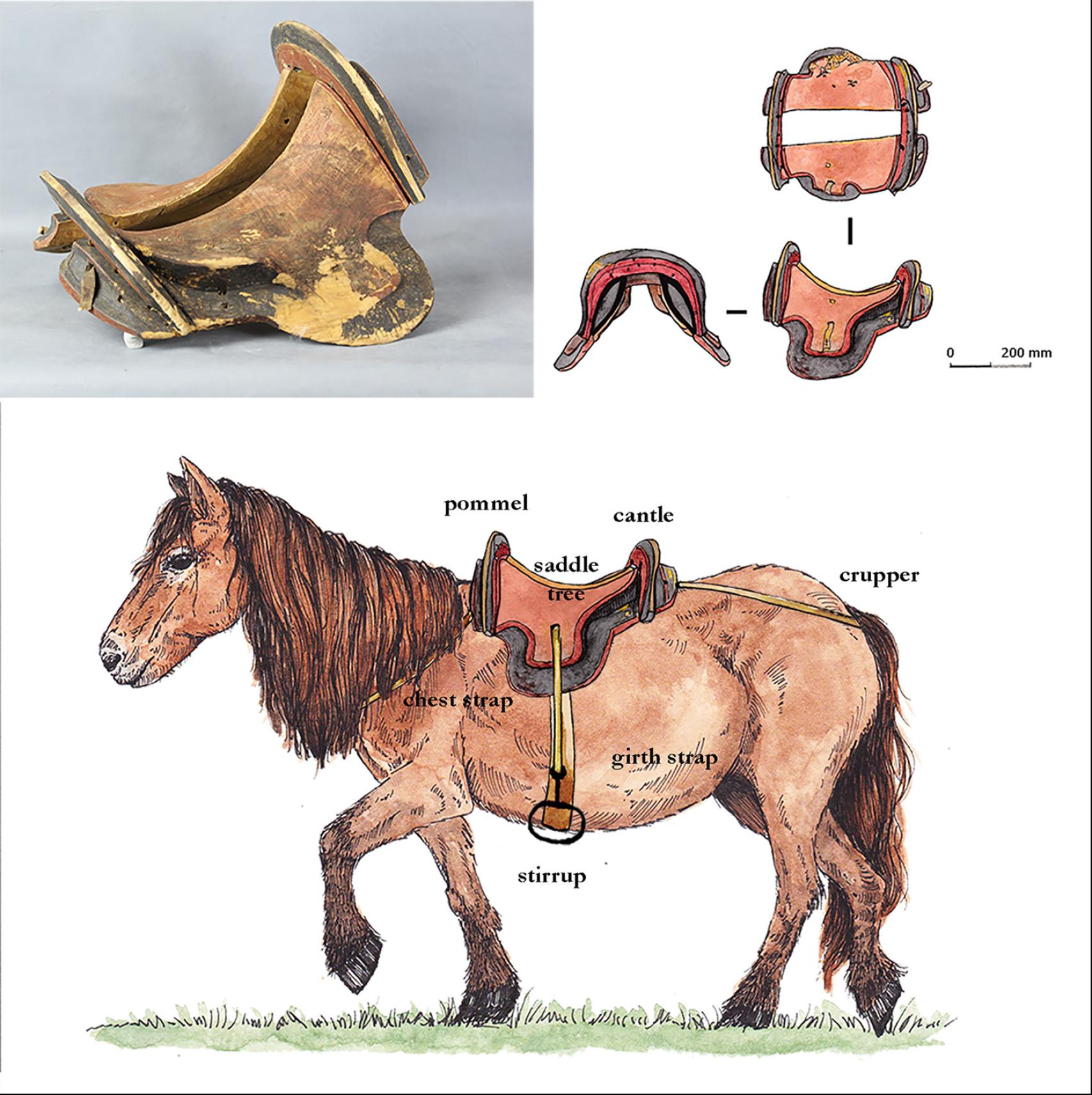 Reconstrucción de la silla de montar