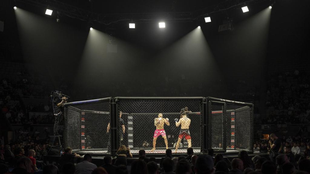 Una imagen de artes marciales en vivo.