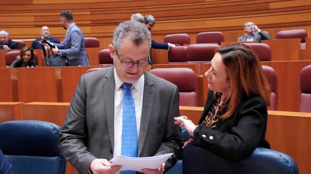 El consejero de Agricultura, Gerardo Dueñas, conversa con la procuradora socialista Rosa Rubio durante el Pleno de las Cortes de Castilla y León