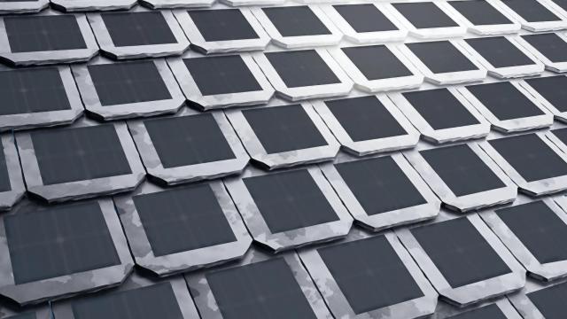 Las placas solares con el revestimiento de Phytonics.