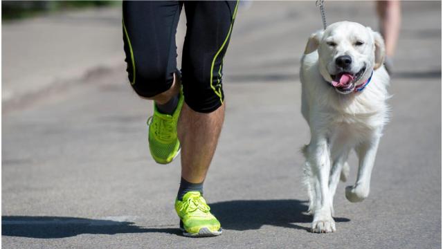 La CanSilvestre de A Coruña vuelve a ampliar plazas ante la gran demanda recibida