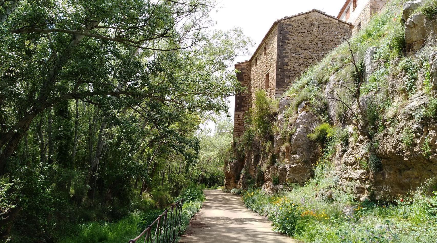 Imagen de un sendero de Alpuente. EE