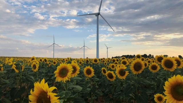 Parque eólico de Iberdrola