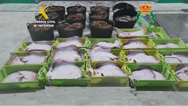 Pescado y marisco incautado por la Guardia Civil