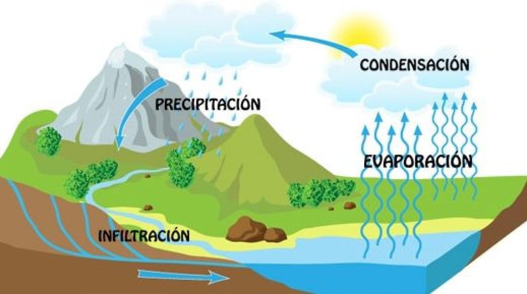 Ciclo del agua