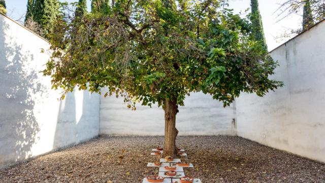 Instalación realizada específicamente para el patio del CAAC