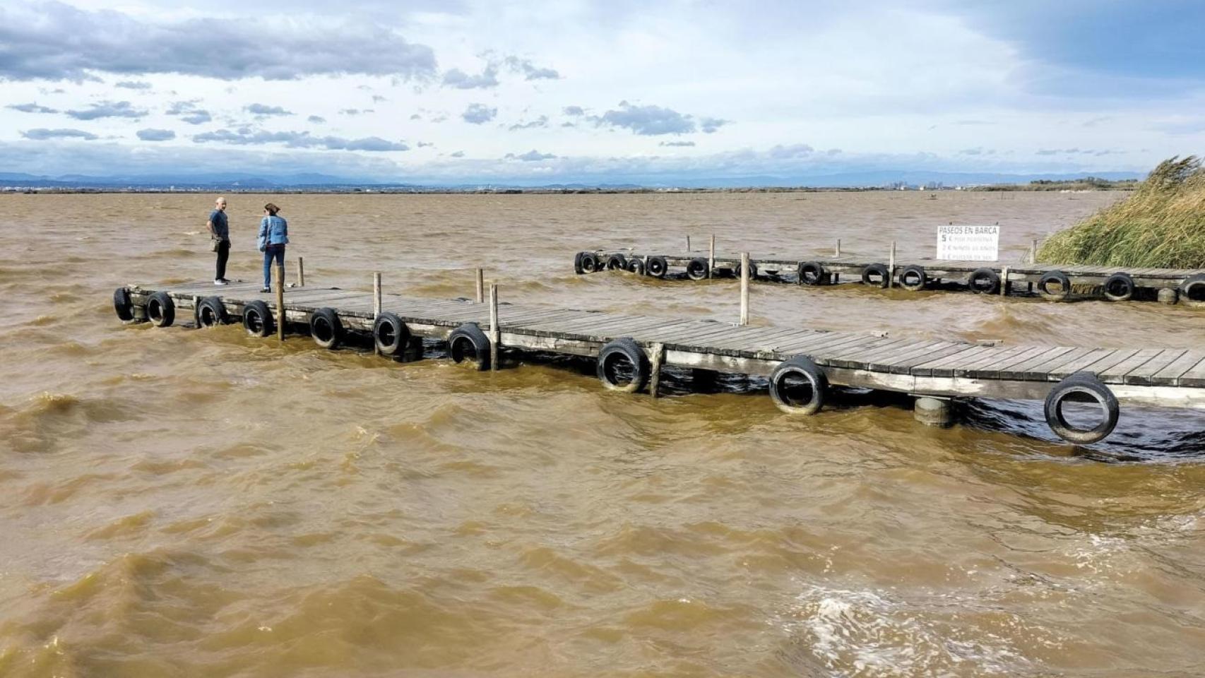 La Albufera de Valencia con el agua marrón. Efe / Eusebio Calatayud