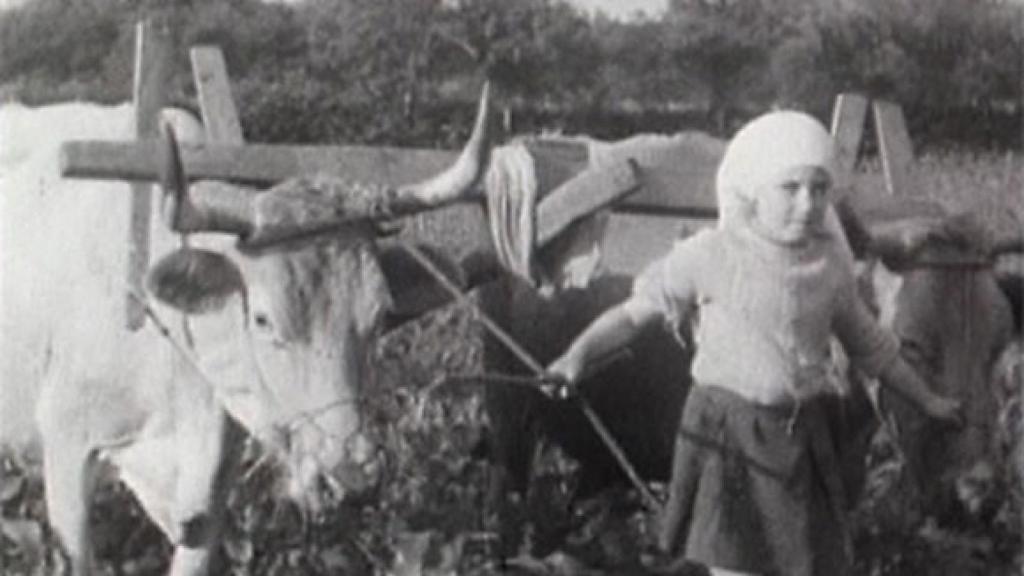 Un fotograma de 'El campo para el hombre' (1975), película dirigida por Helena Lumbreras y Mariano Lisa