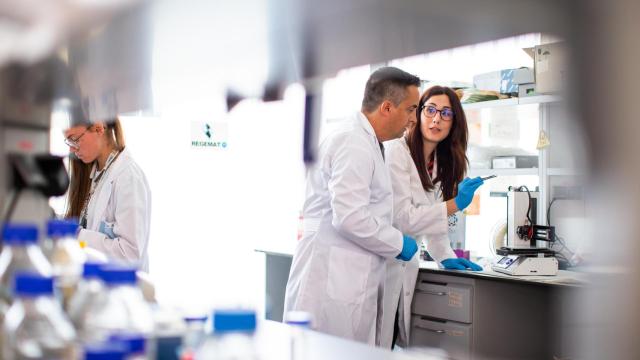 El equipo de la doctora Elena López, en el Instituto de Investigación Biosanitaria de Granada, beneficiarios de una Ayuda de la Fundación Mutua.