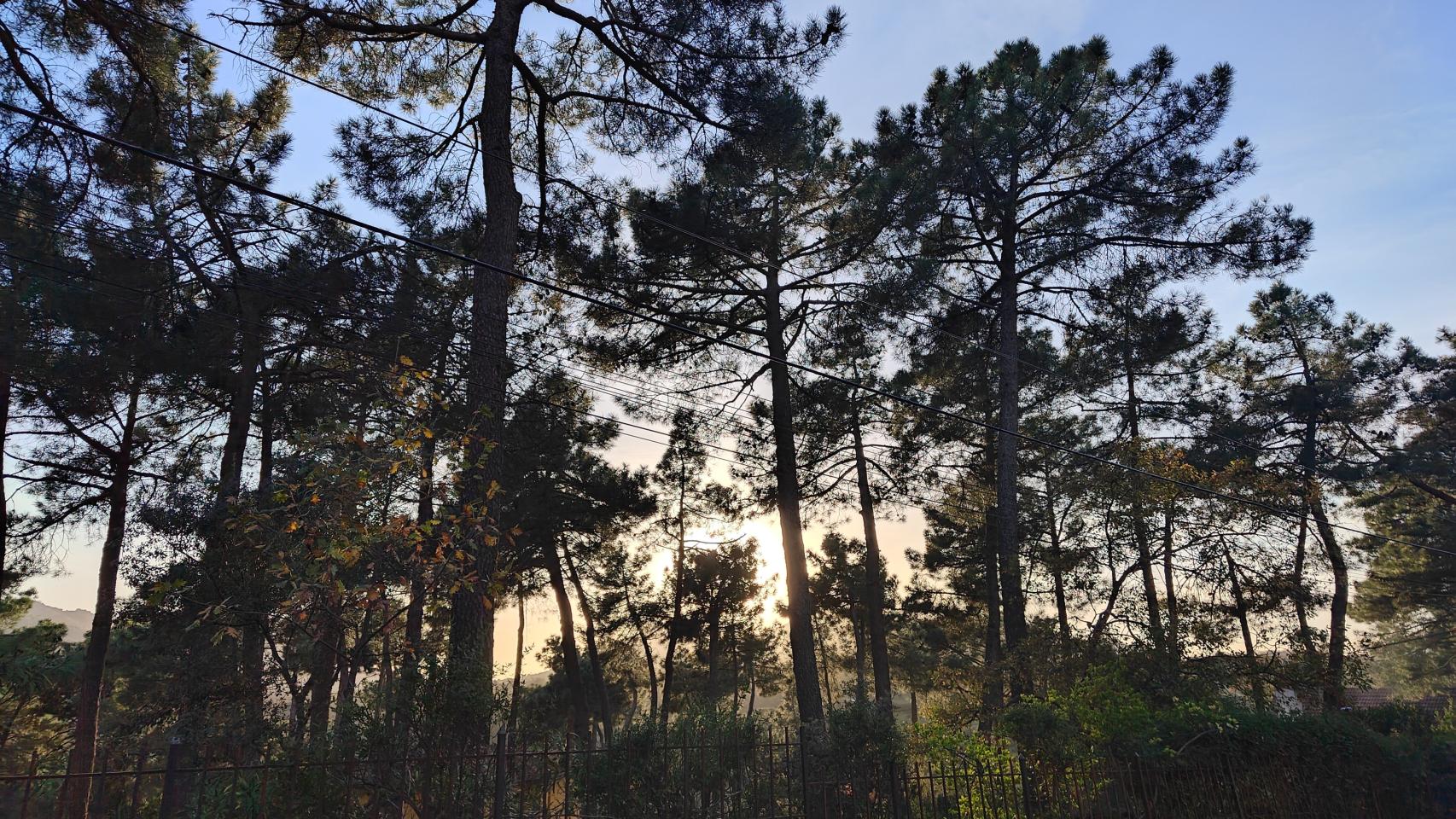 Imágenes tomadas con el Redmagic 9 Pro