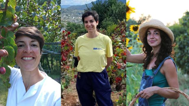 Montaje de Magas con la ganadora y las dos finalistas de TalentA.