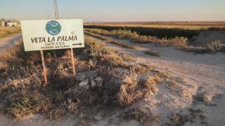 Un cartel indicador de la finca Veta La Palma adquirida por la Junta de Andalucía en La Puebla del Río.