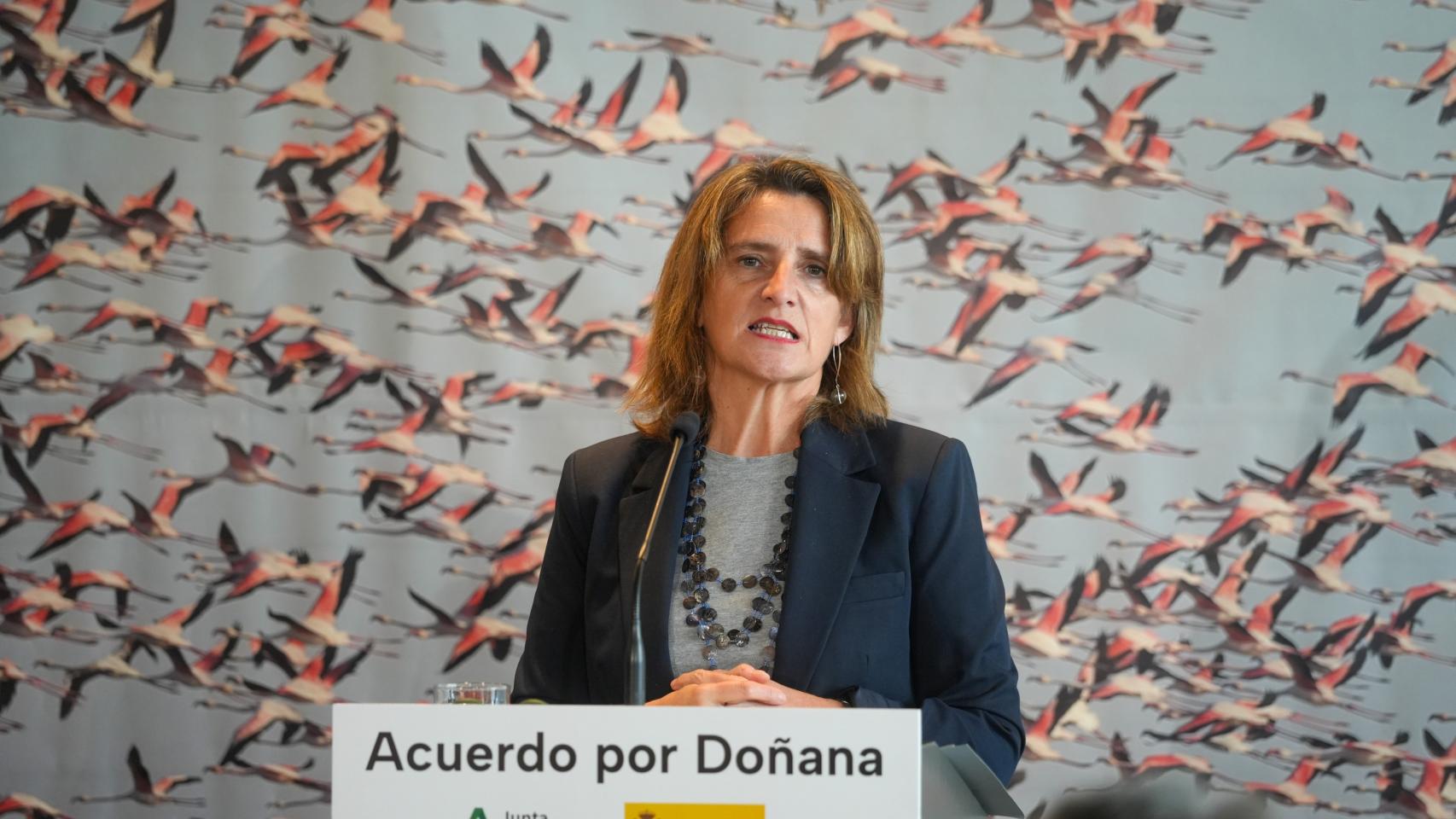 La ministra de Transición Ecológica y Reto Demográfico, Teresa Ribera.
