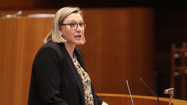 La consejera de Familia e Igualdad de Oportunidades, Isabel Blanco, durante su intervención en las Cortes