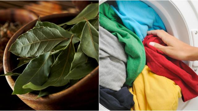 El sencillo truco con laurel para que las prendas recuperen el color.
