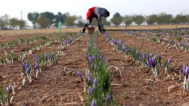 Foto: Óscar Huertas