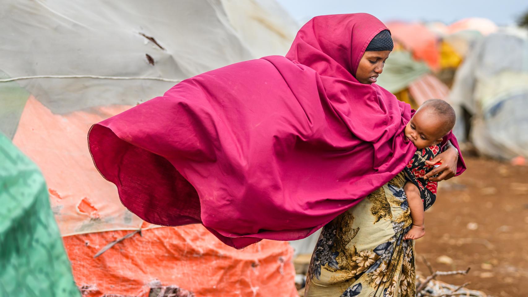 Portada - D345-0161-172