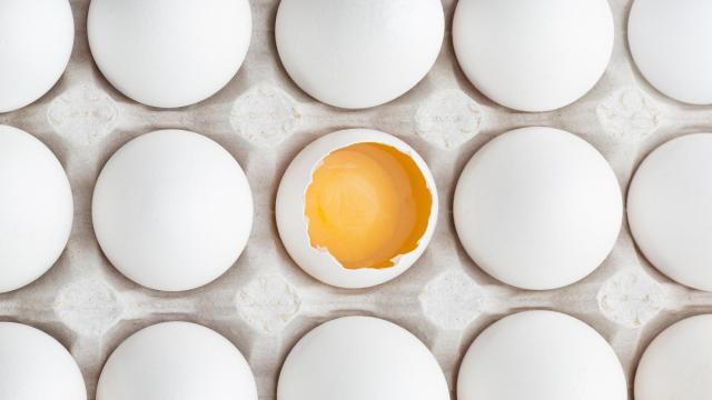 Utilizan la membrana del nuevo para crear un nuevo biomaterial.