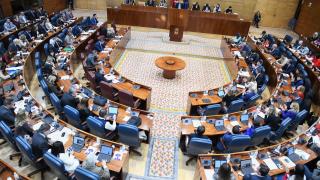 Imagen del Pleno de Madrid este jueves 21 diciembre.