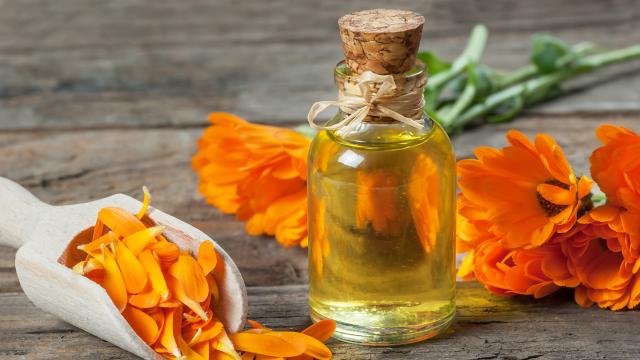 Imagen de aceite de caléndula