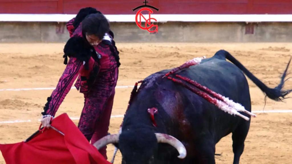Roberto Domínguez-Roca Rey, tanto monta (y II)