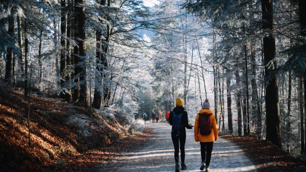 El ejercicio físico aeróbico como caminar está relacionado con la reducción en el riesgo de gripe y neumonía.