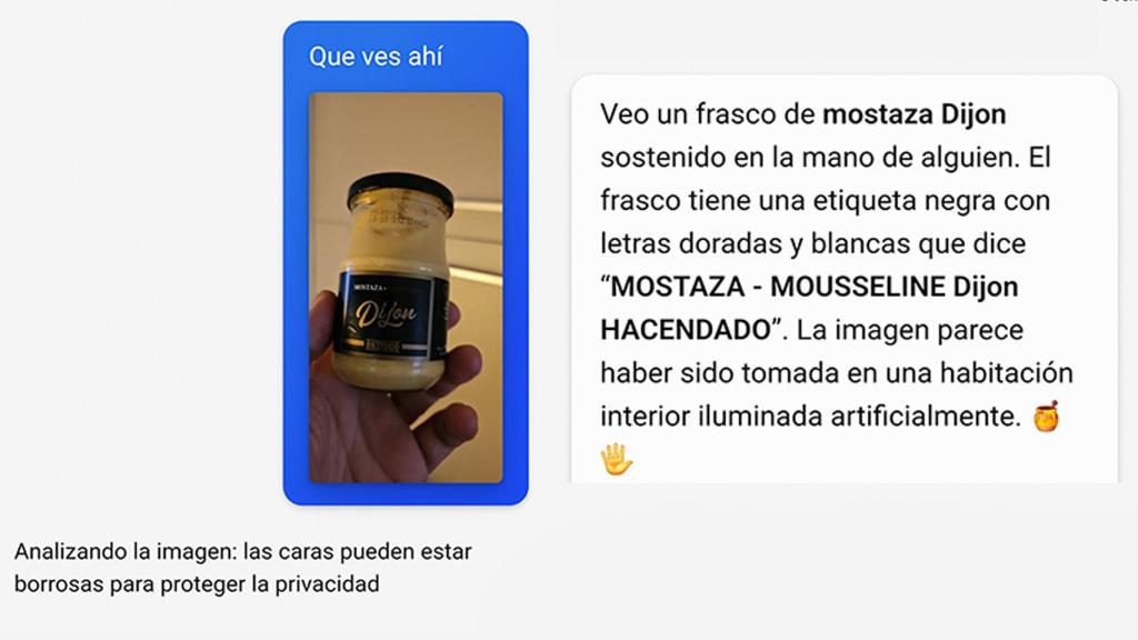 Imagen que muestra cómo Microsoft Pilot analice una imagen tomada con la app de cámara del móvil