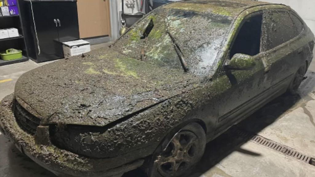Estado del coche tras sacarlo del estanque.