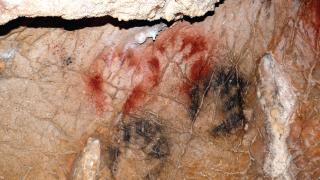 Manos sin uno de los dedos documentadas en la cueva francesa de Gargas.