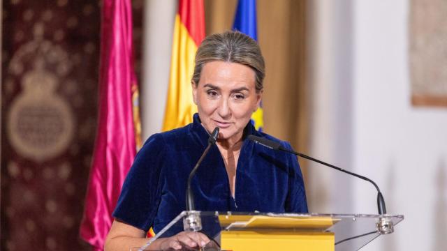 Milagros Tolón, delegada del Gobierno en Castilla-La Mancha y exalcaldesa de Toledo.