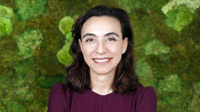 Ángeles Villaescusa, consejera delegada de Esri en España.