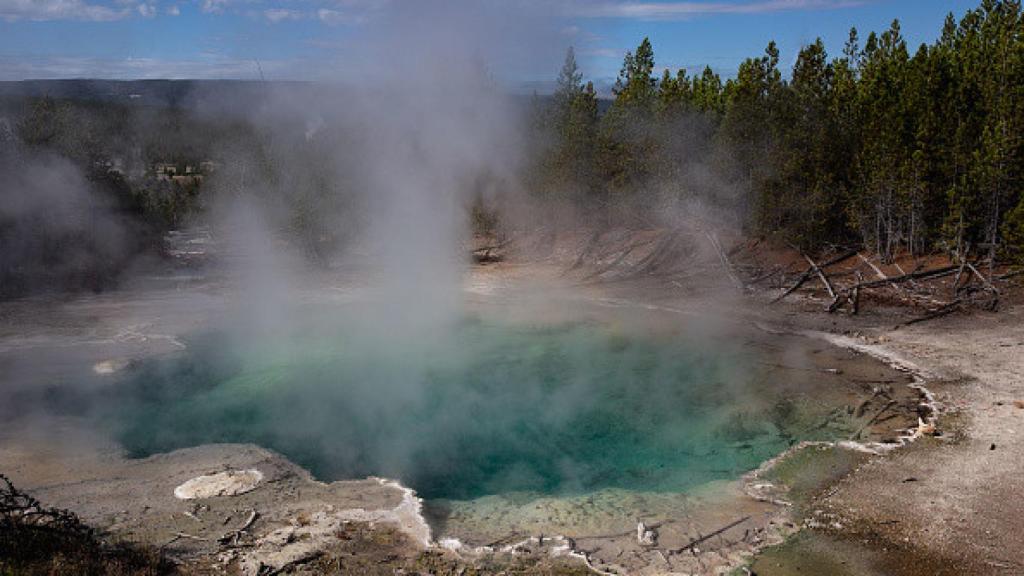 Yellowstone, donde se ha realizado el estudio.