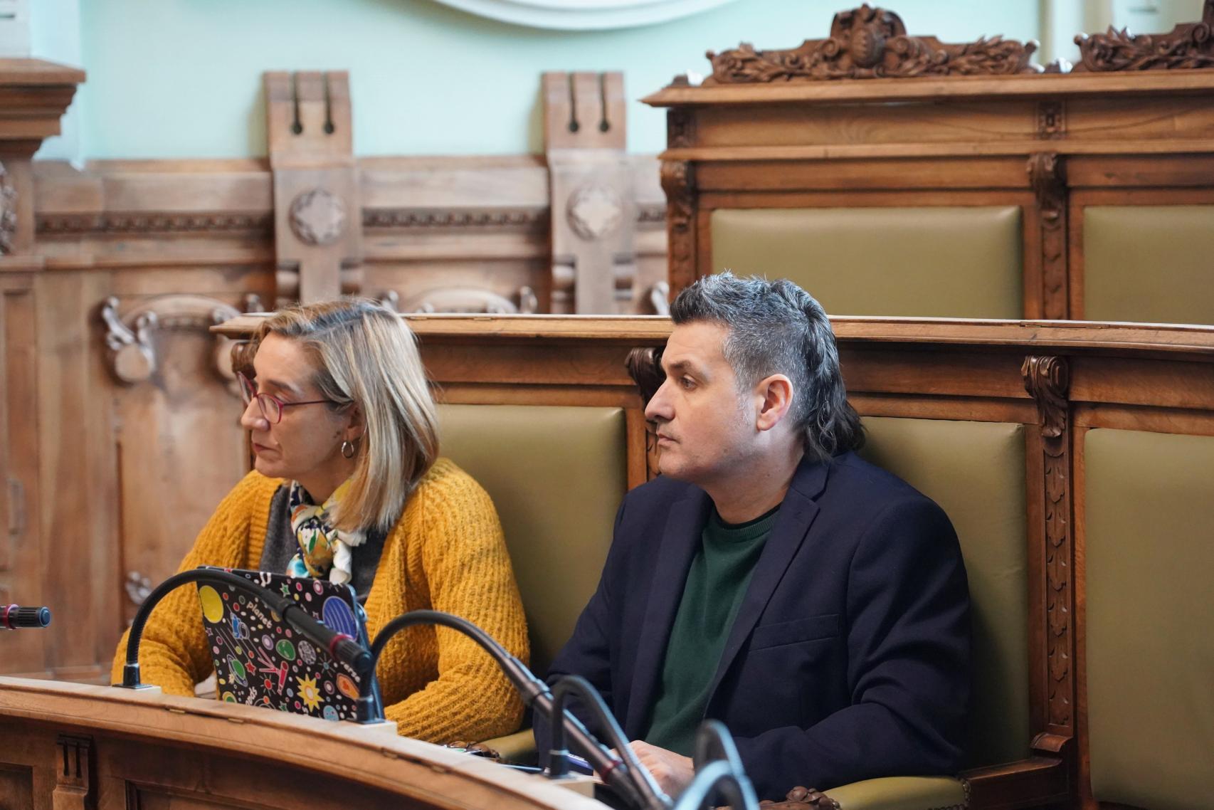 María Anguita (VTLP) en el pleno de este viernes