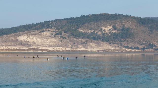 Paisaje de Cabana de Bergantiños