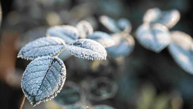 Imagen de archivo de una jornada invernal.