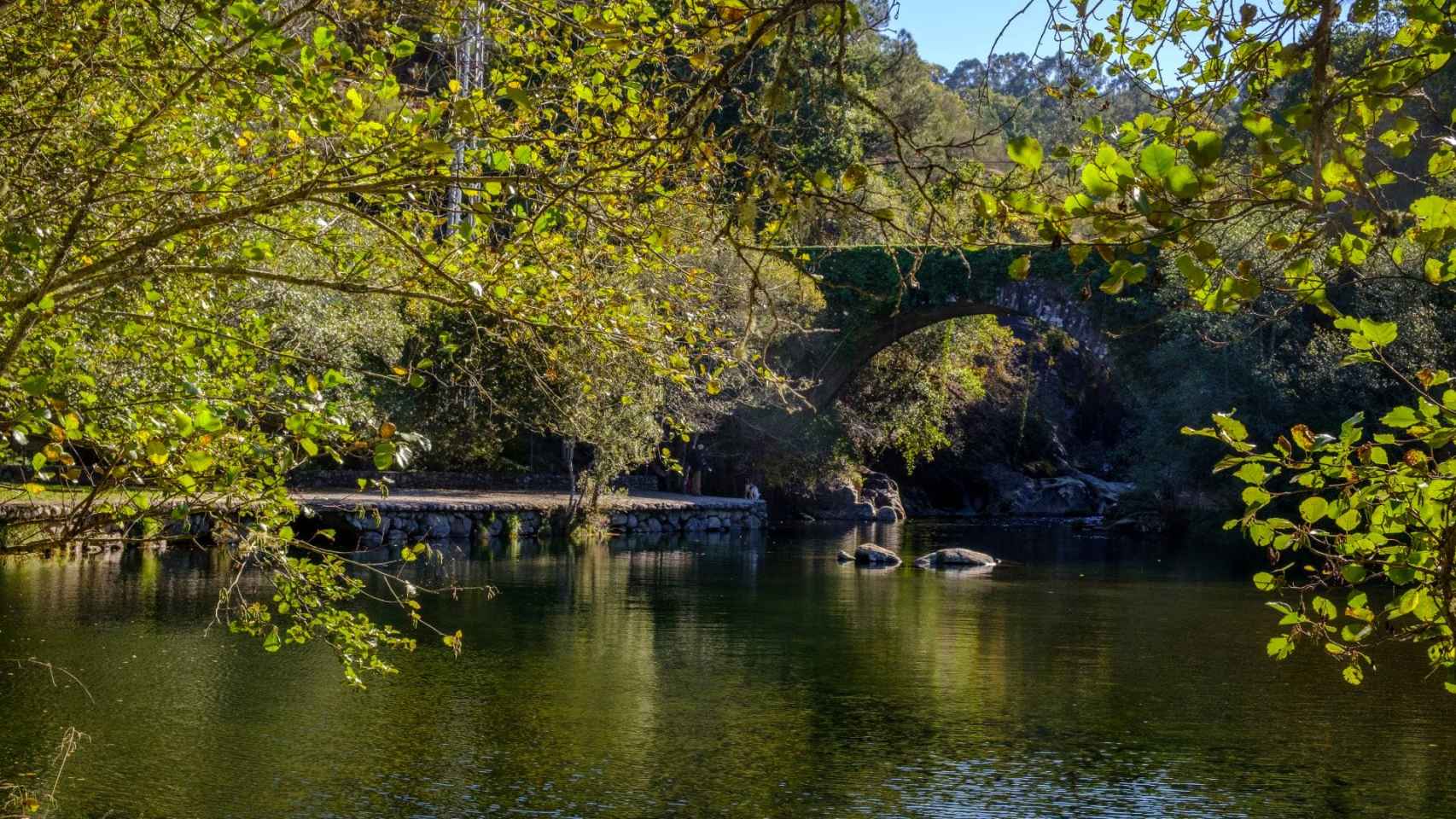 El río Tea a su paso por Covelo
