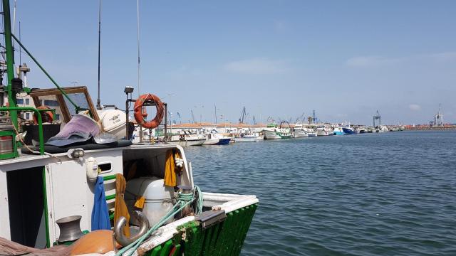 Una vista del puerto pesquero de Castelló de la Plana.