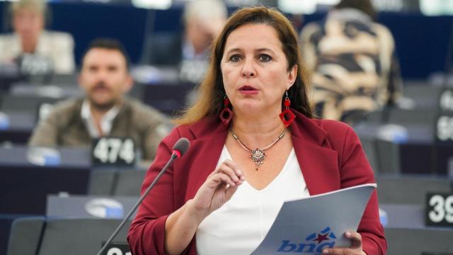 Ana Miranda en el Parlamento Europeo en una imagen de archivo.