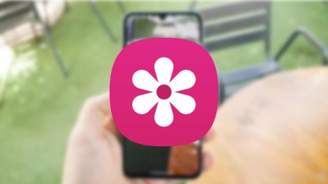 Icono de la app de galería de Samsung