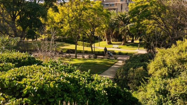 Valencia inicia en enero su capitalidad verde con el objetivo de liderar el futuro de la sostenibilidad europea