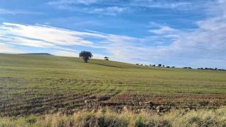 El fantasma de las tierras raras regresa a Ciudad Real: Harán un gran colador