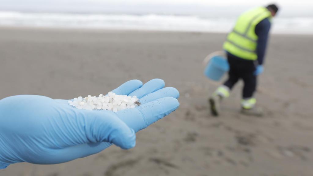 Un operario de Tragsa coge con la mano los pellets.